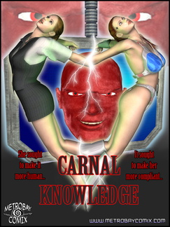 Carnal Knowledge poster